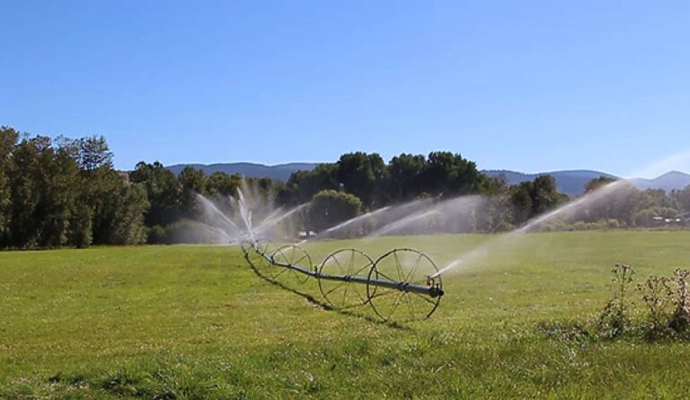 Irrigation in the Bitterroot Tour