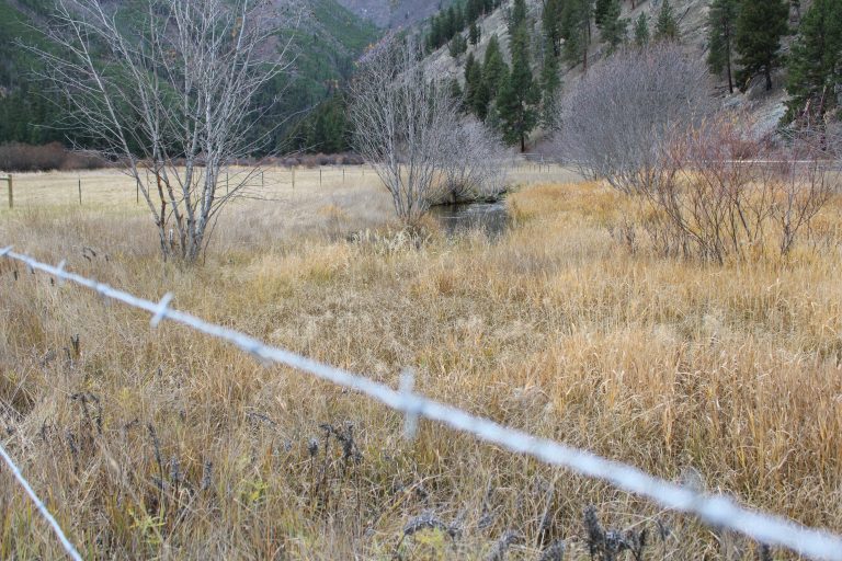 Stream De-Fence: How a Fence Cleans A River