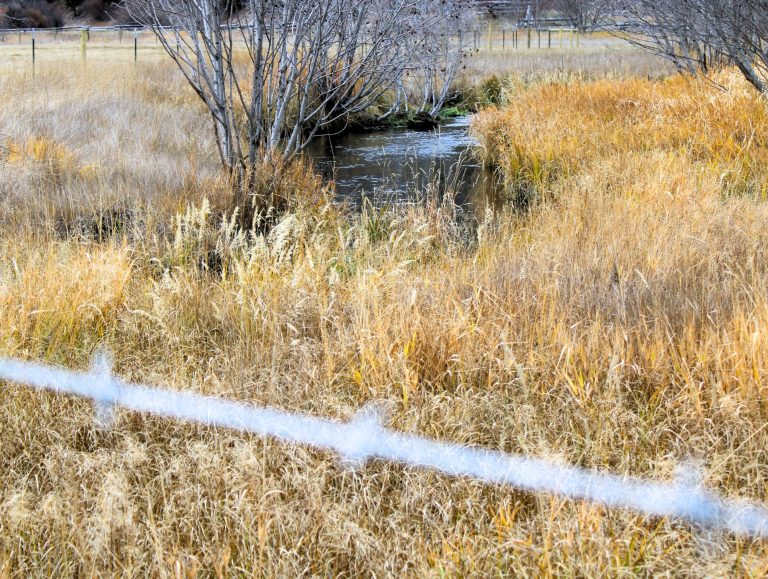 Stream De-Fence: How a Fence Cleans A River